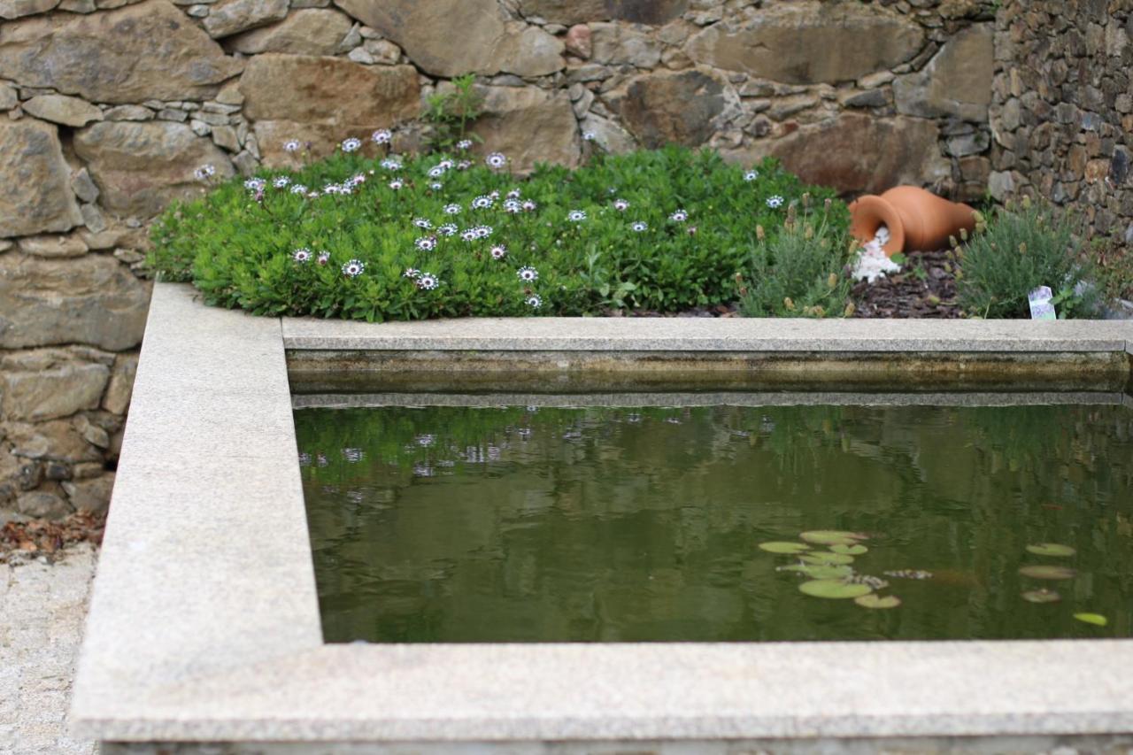Quinta Das Fontainhas Mesao Frio Luaran gambar