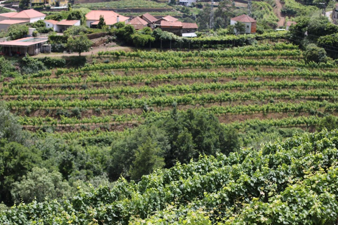 Quinta Das Fontainhas Mesao Frio Luaran gambar